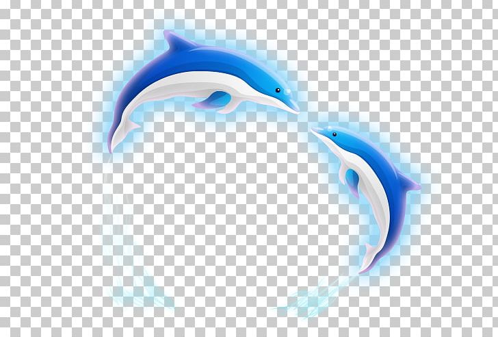 Dolphin Blue PNG, Clipart, Affinity, Animals, Aqua, Azure, Blue Free PNG Download