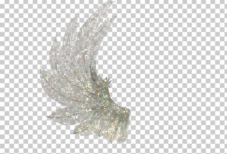 PhotoFiltre PNG, Clipart, Angel, Angel Wing, Asa De Anjo, Blog, Fairy Free PNG Download