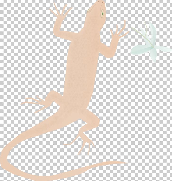 Reptile Amphibian Cartoon Character PNG, Clipart, Amphibian, Animals, Art, Cartoon, Character Free PNG Download