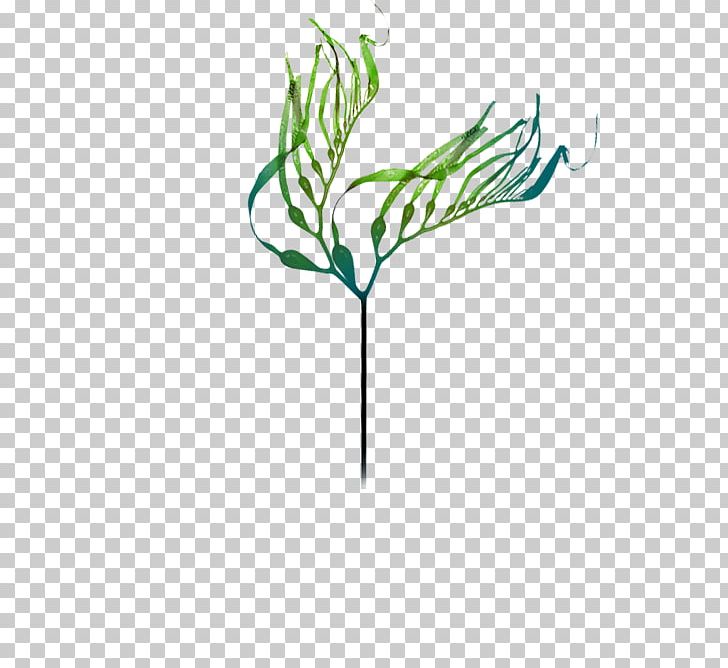 IPod Touch Art PNG, Clipart, Art, Branch, Clip Art, Family, Flora Free PNG Download