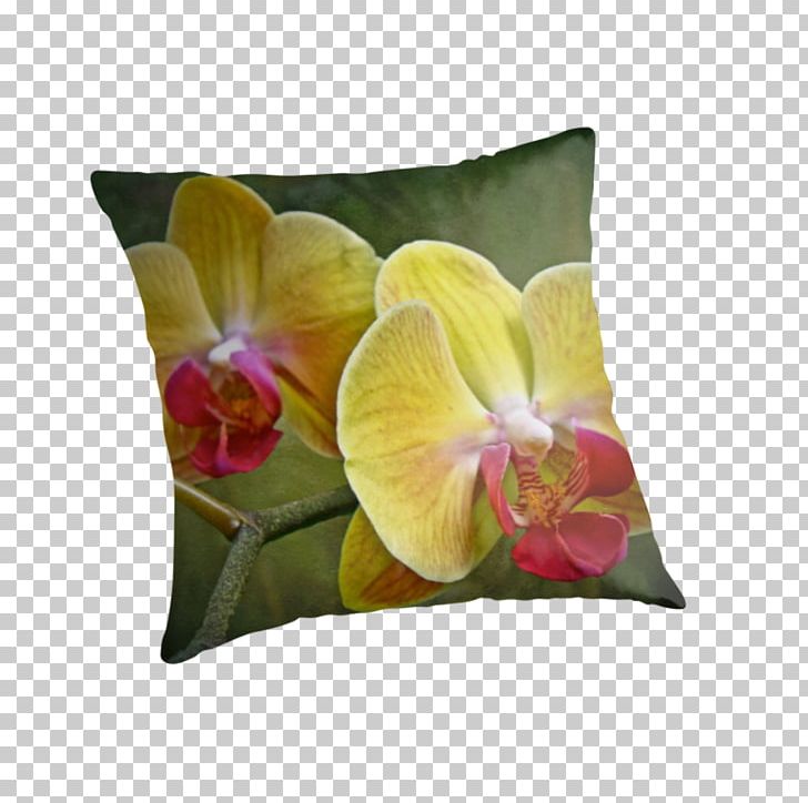 Moth Orchids Epiphyte Yellow Petal PNG, Clipart, Cushion, Epiphyte, Flower, Flower Bouquet, Flowering Plant Free PNG Download