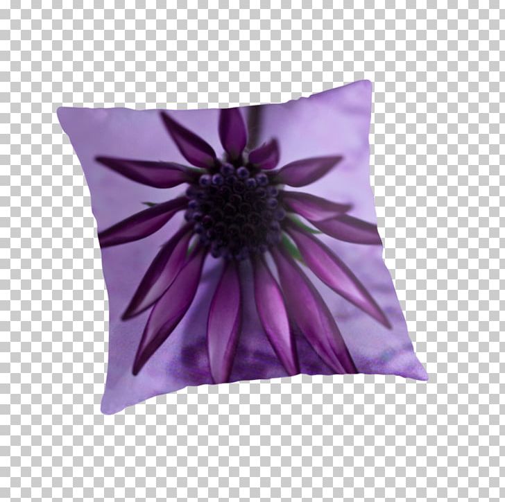 Purple Violet Cushion Throw Pillows Lilac PNG, Clipart, Art, Cushion, Flower, Gazania, Lavender Free PNG Download