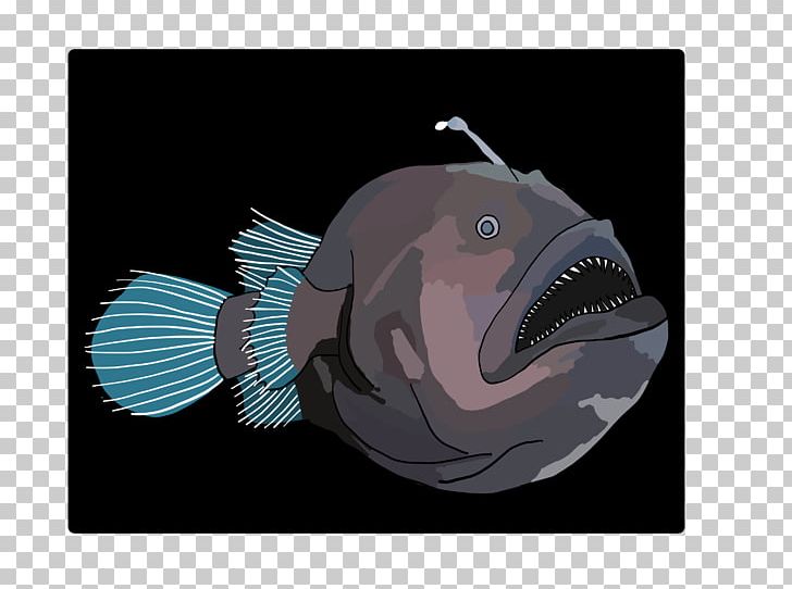 Anglerfish Deep Sea Fish Mouth Snout PNG, Clipart, Angler, Anglerfish, Angler Fish, Animal, Animals Free PNG Download