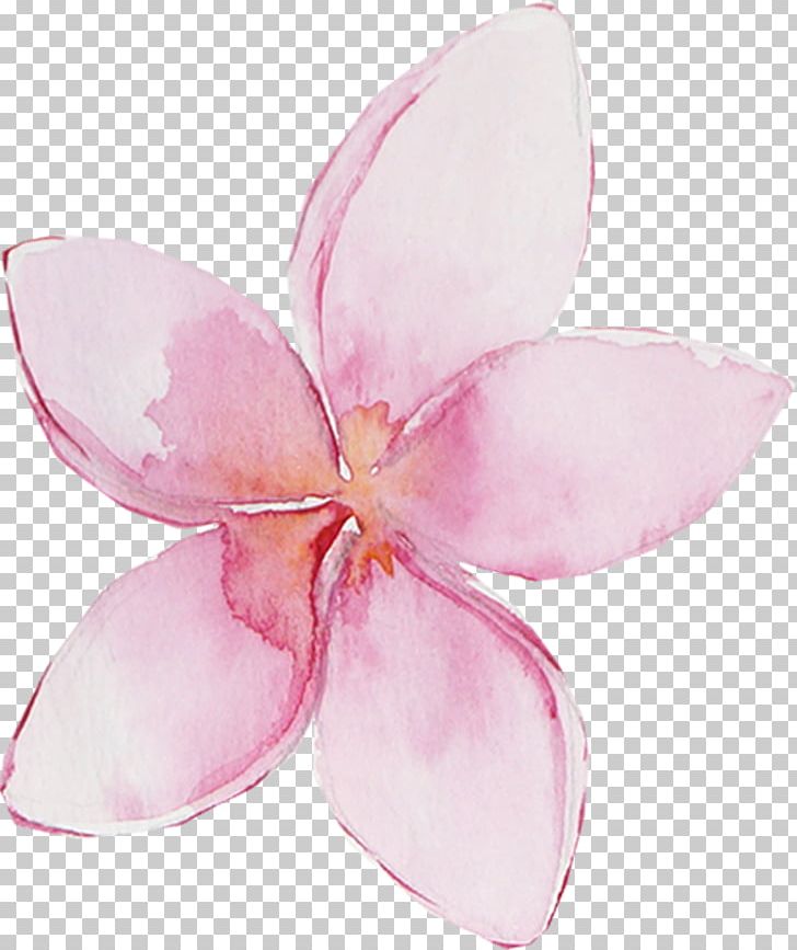 Desktop Pink PNG, Clipart, Aloha, Art, Cartoon, Clip Art, Color Free PNG Download