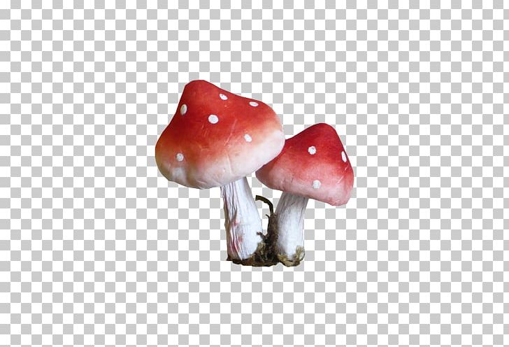 Mushroom Fungus Animaatio PNG, Clipart, Animaatio, Blog, Computer Animation, Fungus, Mushroom Free PNG Download