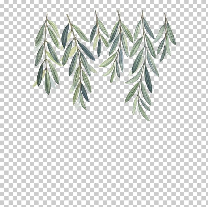 Olive Branch Watercolor Painting PNG, Clipart, Angle, Art, Branch, Creative, Creative Leaves Free PNG Download