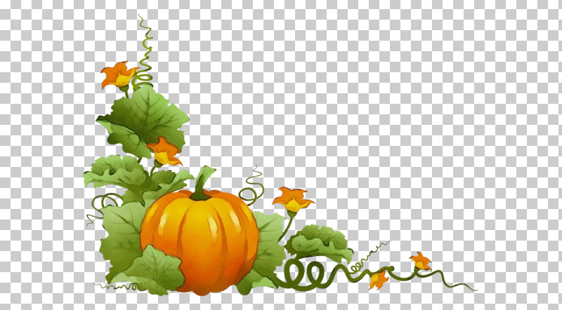 Pumpkin PNG, Clipart, Courgette, Crookneck Pumpkin, Cucurbita Maxima, Field Pumpkin, Gourd Free PNG Download