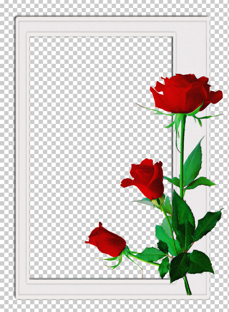 Floral Design PNG, Clipart, Cut Flowers, Floral Design, Flower, Garden Roses, Picture Frame Free PNG Download