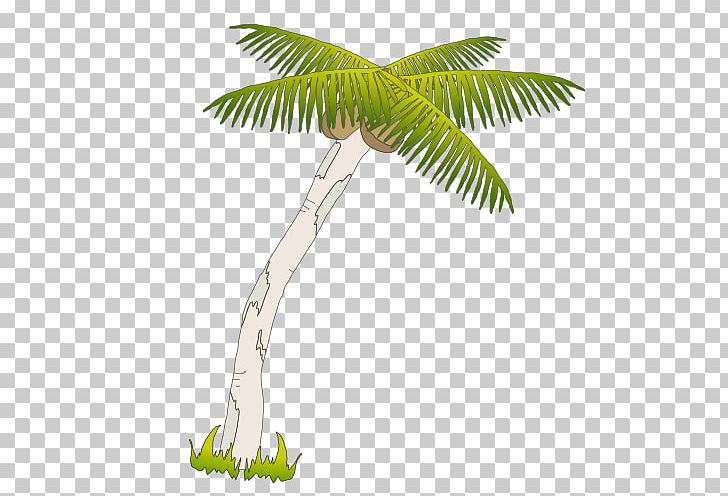 Arecaceae Coconut Drawing Tree PNG, Clipart, Arecaceae, Arecales, Balloon Cartoon, Boy Cartoon, Cartoon Free PNG Download