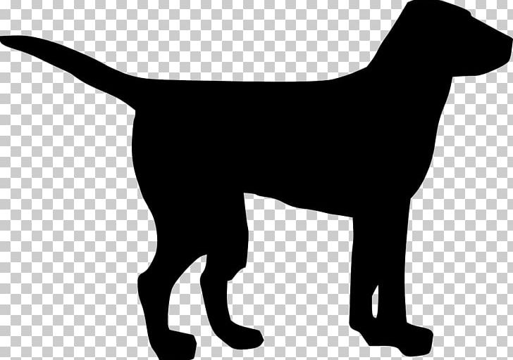 Labrador Retriever Puppy PNG, Clipart, Animals, Black, Black And White, Carnivoran, Computer Icons Free PNG Download