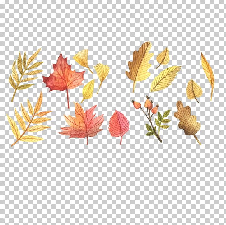 Scalable Graphics Autumn Leaf Color PNG, Clipart, Autocad Dxf, Autum, Branch, Encapsulated Postscript, Fall Leaves Free PNG Download