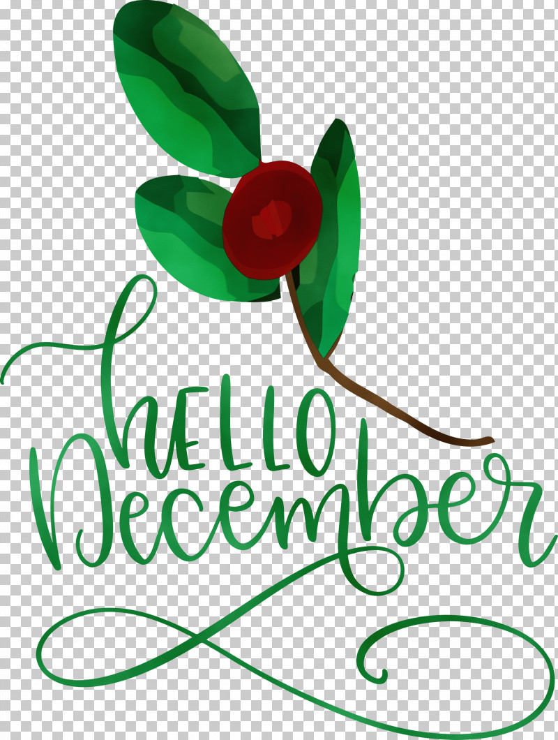 Leaf Plant Stem Flower Logo Green PNG, Clipart, Flower, Green, Hello December, Leaf, Line Free PNG Download