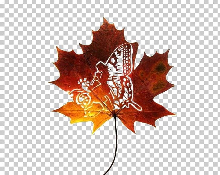 Artist Leaf Work Of Art Sculpture PNG, Clipart, Art, Artist, Arts, Autumn Leaf, Butterfly Free PNG Download