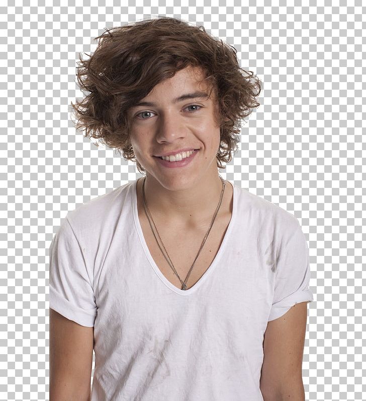 Harry Styles: Photo-Biography One Direction PNG, Clipart, Biography, Blingee, Boy Band, Brown Hair, Chin Free PNG Download
