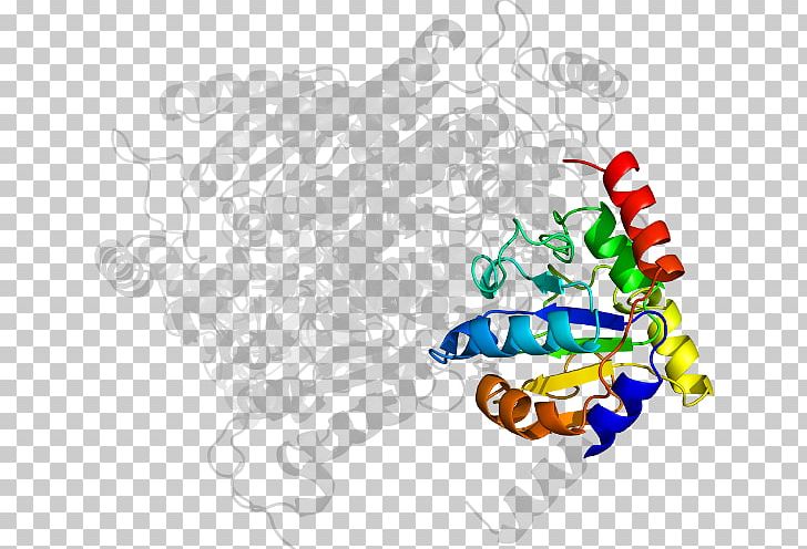 Organism PNG, Clipart, Acetolactate Synthase, Area, Art, Artwork, Line Free PNG Download