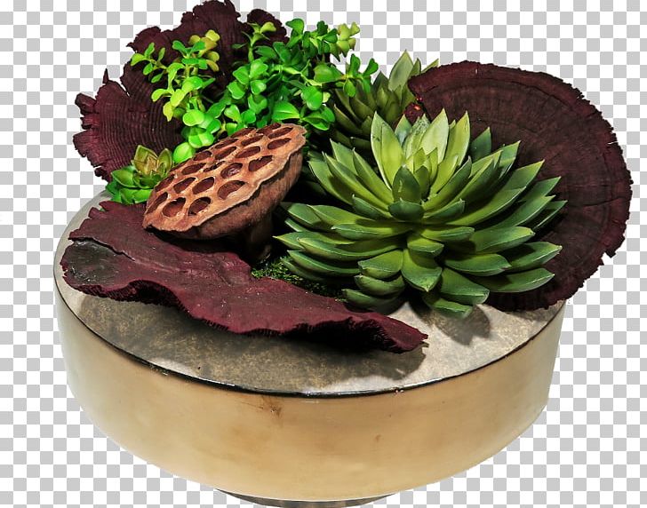 Plant PNG, Clipart, Flowerpot, Food Drinks, Fresh Succulents, Plant Free PNG Download