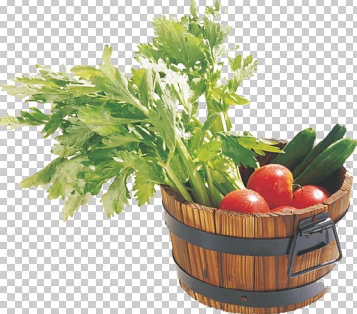 Tomato U4e0au706b Vegetable Cucumber PNG, Clipart, Diet Food, Download, Eating, Element, Flowerpot Free PNG Download