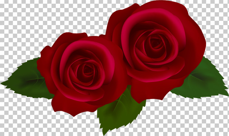 Two Flowers Two Roses Valentines Day PNG, Clipart, Bouquet, Closeup, Cut Flowers, Floribunda, Flower Free PNG Download