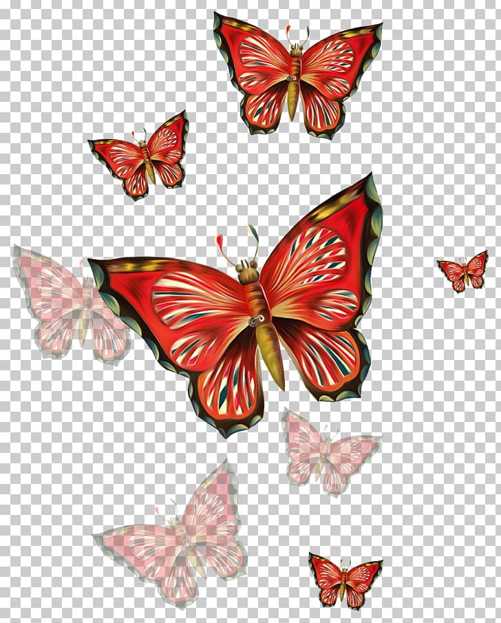 Day Week Love Greeting Night PNG, Clipart, Afternoon, Arthropod, Brush Footed Butterfly, Buterfly, Butterfly Free PNG Download