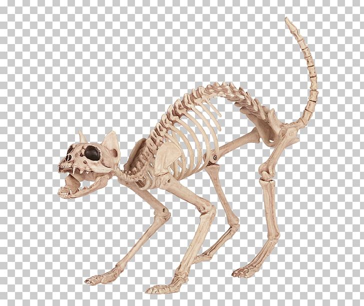 Cat Litter Trays Skeleton Bone Tail PNG, Clipart, Amazoncom, Animal Figure, Animals, Bone, Bones Free PNG Download