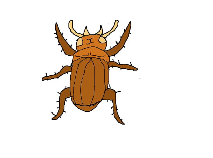 Cockroach Insect PNG, Clipart, Animal, Animation, Animations, Arthropod, Artwork Free PNG Download