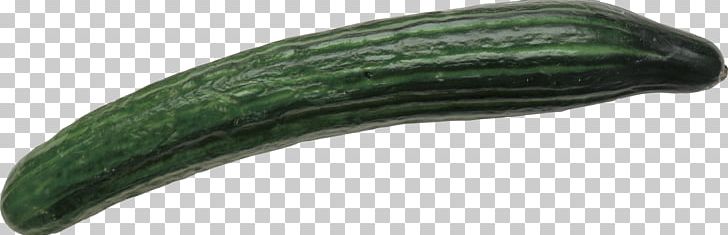 Cucumber PNG, Clipart, Cucumber Free PNG Download