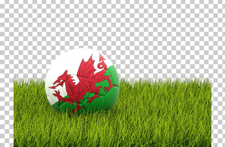 Flag Football Flag Of Iraq Flag Of Somalia PNG, Clipart, American Football, Artificial Turf, Ball, Computer Wallpaper, Easter Egg Free PNG Download