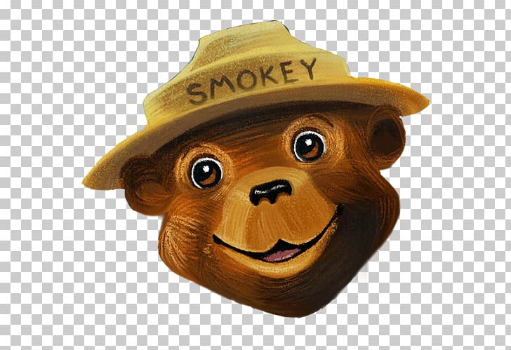 Smokey Bear And The Campfire Kids Wildfire PNG, Clipart, Animals, App Store, Bear, Fire, Firefighter Free PNG Download