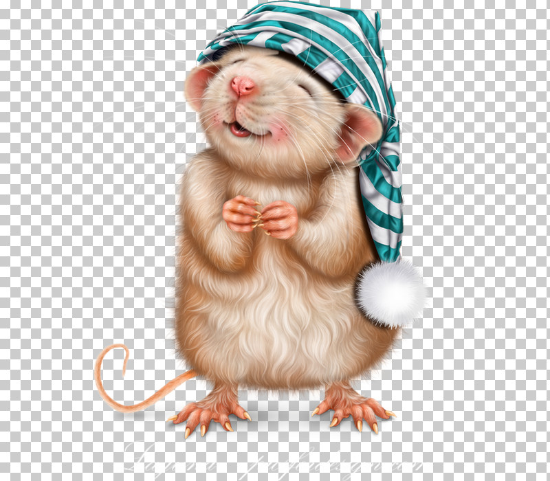 Hamster PNG, Clipart, Ferret, Fur, Gerbil, Hamster, Mouse Free PNG Download