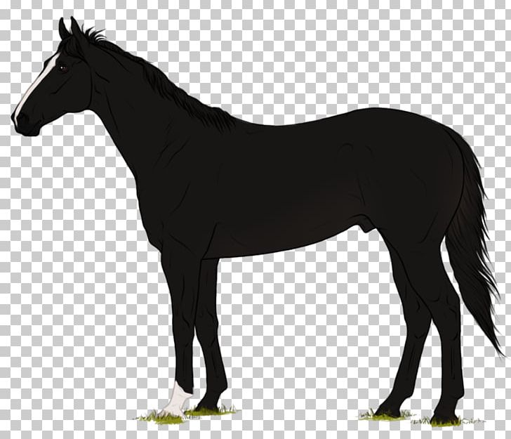 Andalusian Horse Black Rearing Dobermann PNG, Clipart, Animal, Black, Bridle, Collection, Colt Free PNG Download