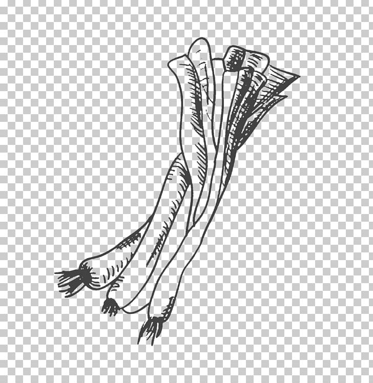Drawing Vegetable Allium Fistulosum Scallion PNG, Clipart, Arm, Black And White, Chives, Decoration, Diagram Free PNG Download