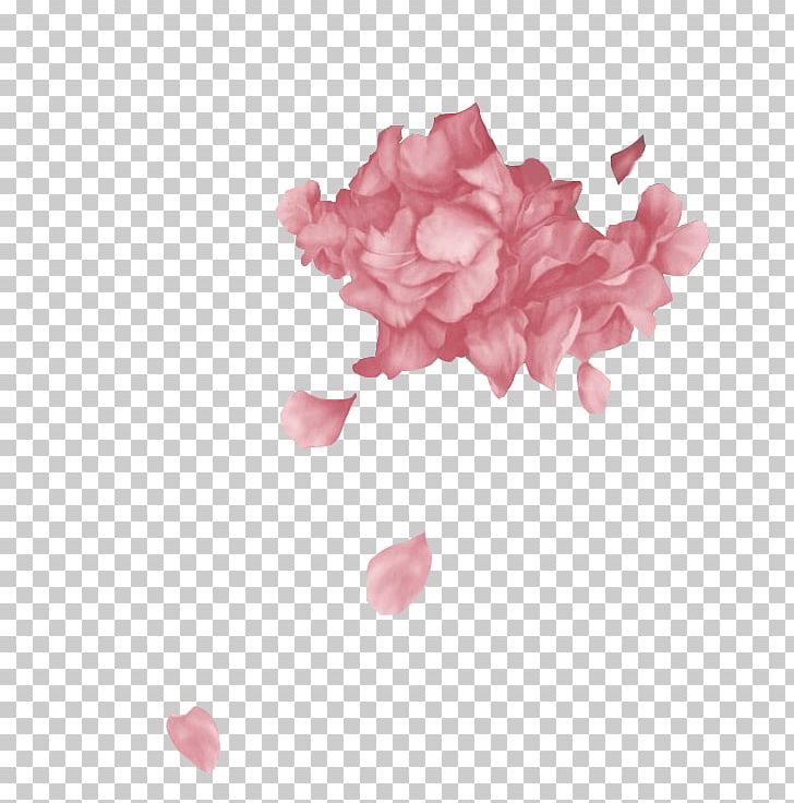 WILD Petal YOUTH FOOLS PNG, Clipart, Blue Neighbourhood, Cut Flowers, Flower, Fools, Miscellaneous Free PNG Download