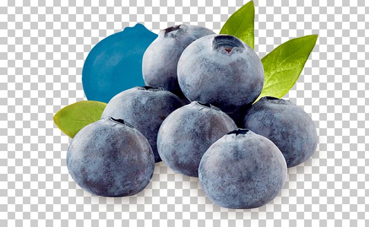 Blueberry Tea Bilberry Driscoll's Huckleberry PNG, Clipart,  Free PNG Download