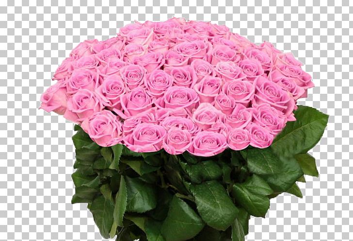 Garden Roses Tsvety Na Oktyabr'skoy Floral Design Cut Flowers PNG, Clipart,  Free PNG Download