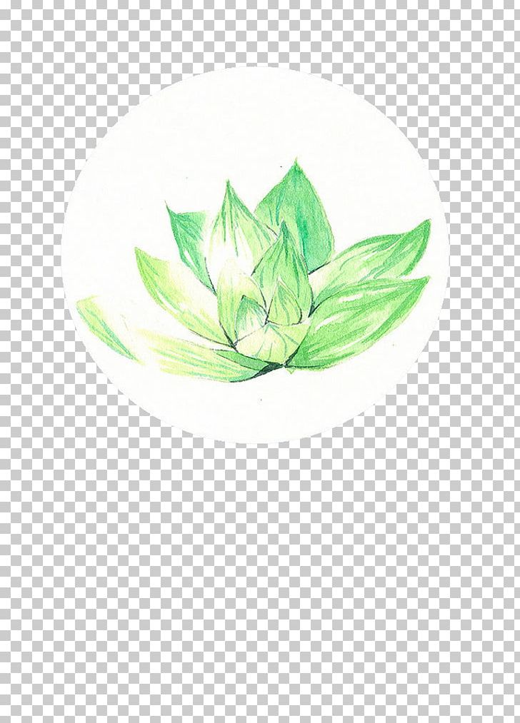 Green PNG, Clipart, Adobe Illustrator, Artworks, Background Green, Download, Encapsulated Postscript Free PNG Download