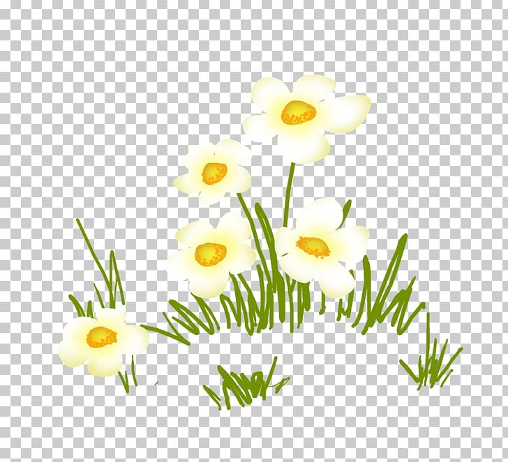 Common Daisy Flower Floral Design PNG, Clipart, Branch, Cartoon, Chamaemelum Nobile, Common Daisy, Daisy Free PNG Download