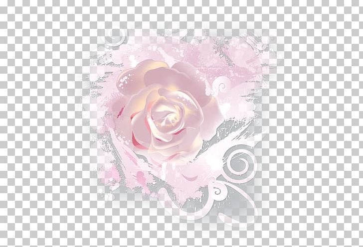 Garden Roses Cabbage Rose Floral Design Cut Flowers PNG, Clipart, Cut Flowers, Fleur, Floral Design, Floristry, Flower Free PNG Download