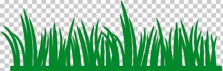 Plant Stem Grass Cartoon PNG, Clipart, Cartoon, Commodity, Document, Download, Grass Free PNG Download