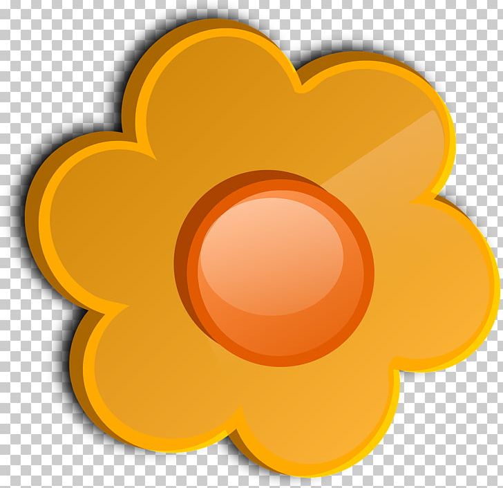 Orange Yellow Flower PNG, Clipart, Blume, Circle, Common Daisy, Daisy, Floral Free PNG Download