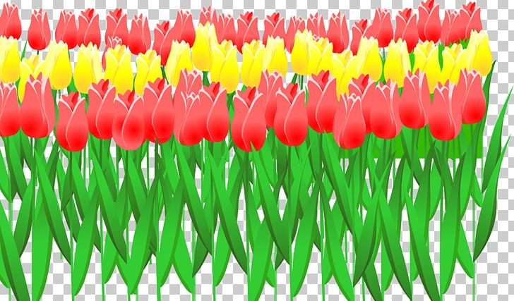 Tulip Euclidean Flower PNG, Clipart, Cartoon, Comics, Download, Euclidean Vector, Flower Free PNG Download