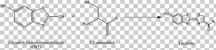 Amine Oxide Quinoxaline Derivative PNG, Clipart, Amine, Amine Oxide, Angle, Area, Black Free PNG Download
