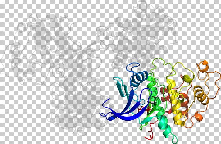 Desktop Computer Organism PNG, Clipart, Art, Circle, Computer, Computer Wallpaper, Cyclindependent Kinase 1 Free PNG Download