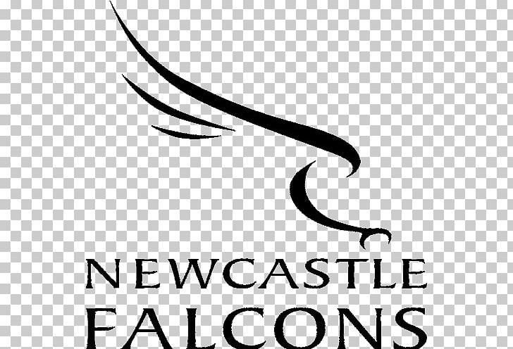Newcastle Falcons English Premiership Kingston Park Sale Sharks Exeter Chiefs PNG, Clipart, Area, Black, Black And White, Brand, Calligraphy Free PNG Download