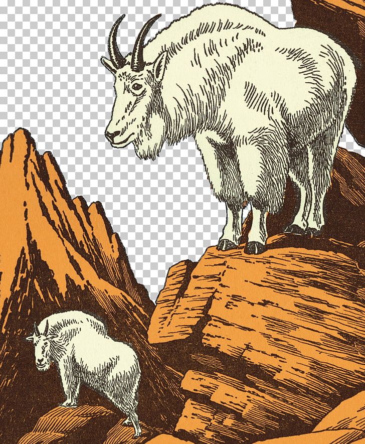Sheep Mountain Goat Cattle Illustration PNG, Clipart, Adobe Illustrator, Animals, Bighorn Sheep, Cartoon, Cattle Like Mammal Free PNG Download