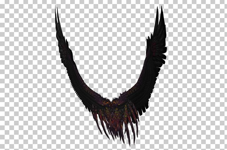 Wing PNG, Clipart, 3d Computer Graphics, 3d Rendering, Beak, Computer Icons, Download Free PNG Download