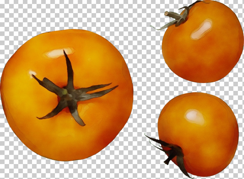 Tomato PNG, Clipart, Fruit, Genus, Paint, Persimmons, Potato Free PNG Download