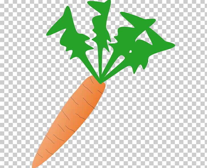 Carrot Vegetable Free Content PNG, Clipart, Carrot, Celery Cliparts, Download, Food, Food Group Free PNG Download