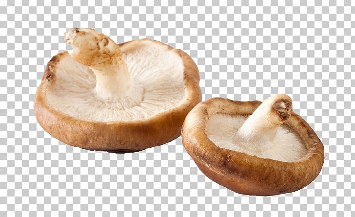 Chinese Cuisine Shiitake Food Eating Fungus PNG, Clipart, Brown, Chinese Cuisine, Cooking, Cuisine, Dish Free PNG Download