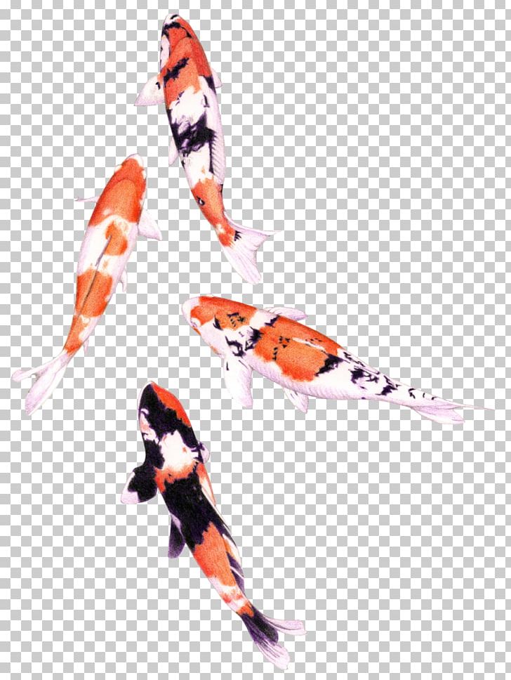 Koi Colored Pencil Drawing Watercolor Painting Fish PNG, Clipart, Animals, Art, Carp, Color, Colored Pencil Free PNG Download