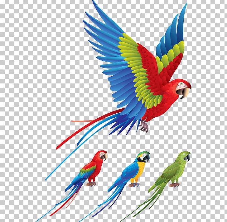 Parrot Bird Red-and-green Macaw PNG, Clipart, Animals, Beak, Bird Cage, Birds, Birds Vector Free PNG Download
